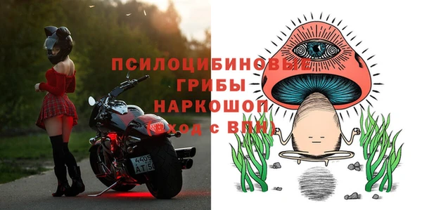 PSILOCYBIN Абинск