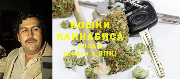 2c-b Алзамай