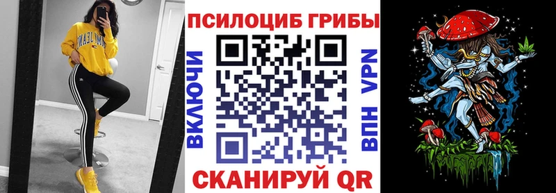 Псилоцибиновые грибы Psilocybe  ОМГ ОМГ зеркало  Ефремов 